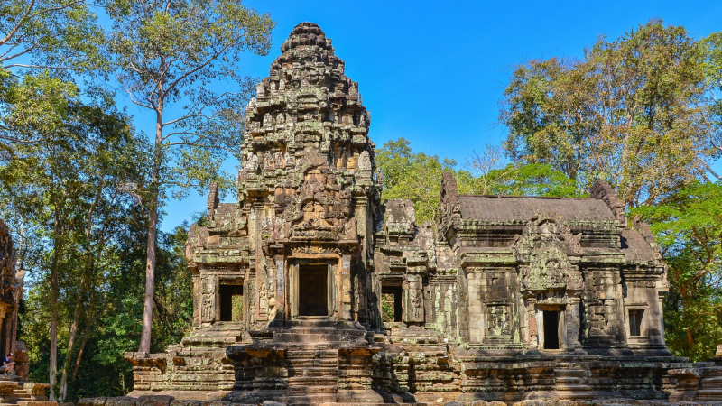 Full day: Angkor Wat – Angkor Thom - Bayon – Banteay Srei – Ta Prohm Temples (Lunch)